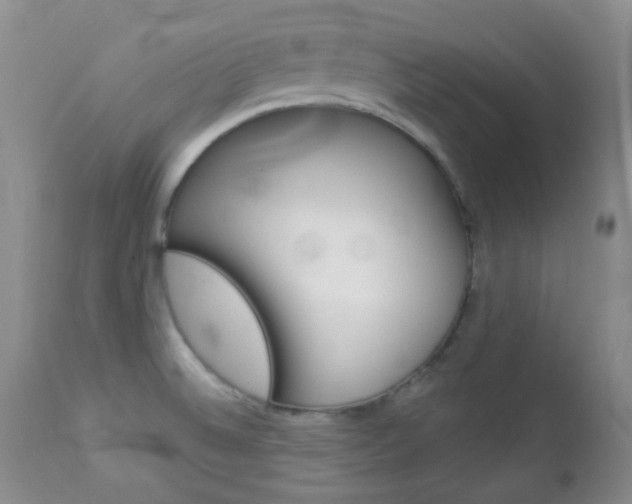 X0000113101524200908280940
