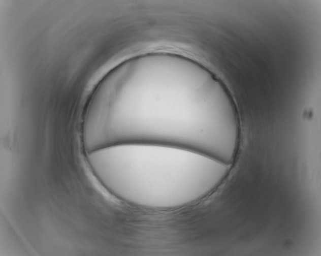 X0000113101525200908280940