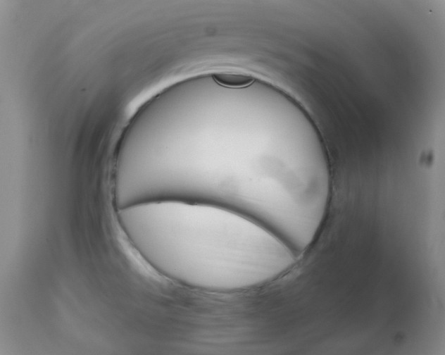 X0000113101526200908280940
