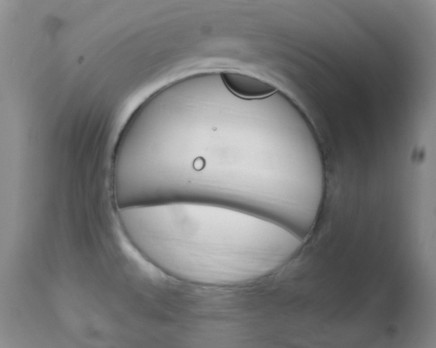 X0000113101527200908280940