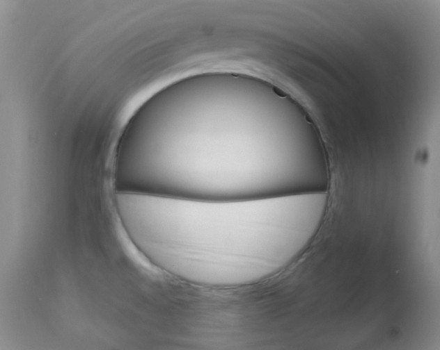 X0000113101528200908280940