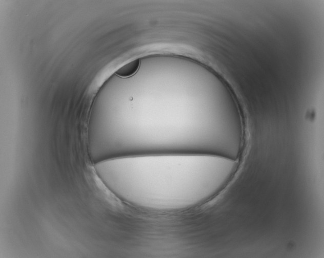 X0000113101529200908280940