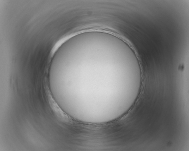 X0000113101530200908280940