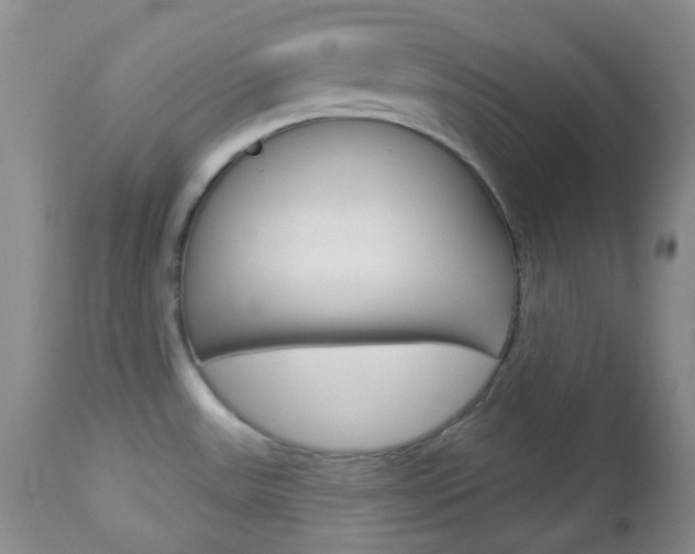 X0000113101531200908280940