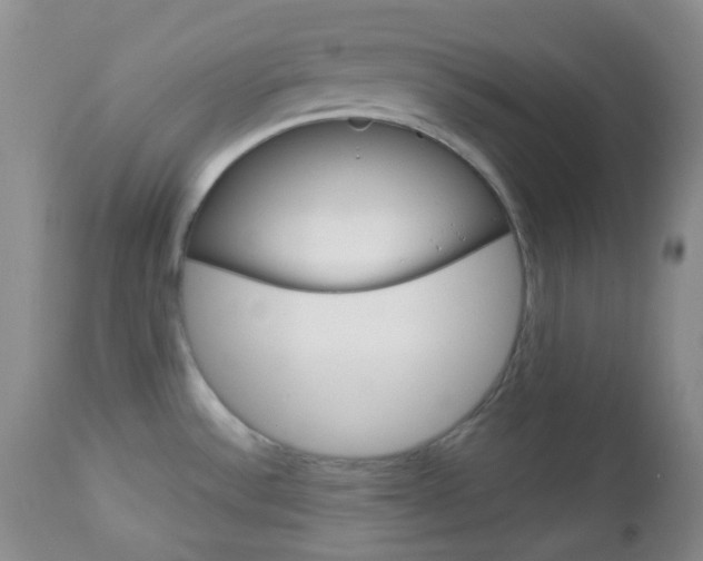 X0000113101532200908280940