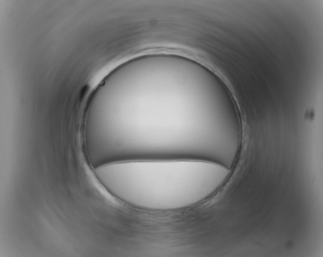 X0000113101533200908280940
