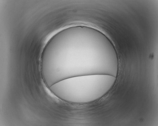 X0000113101535200908280940