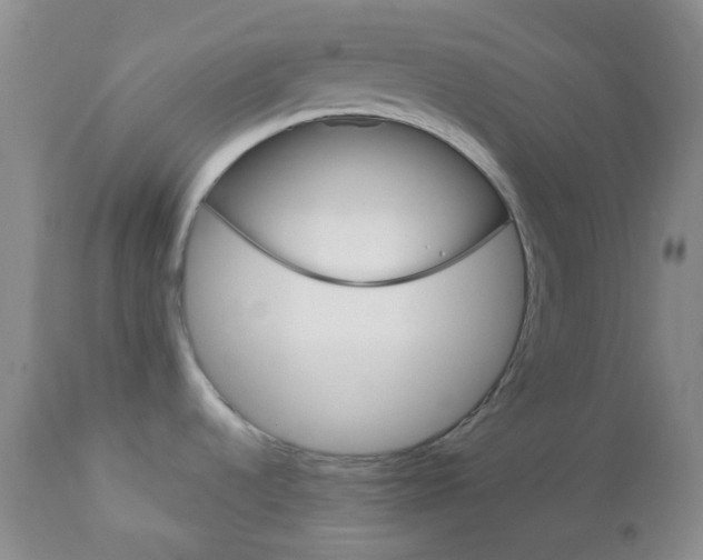 X0000113101536200908280940