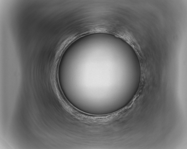 X0000113100001200908281357