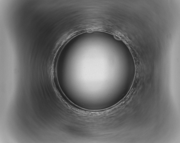 X0000113100002200908281357