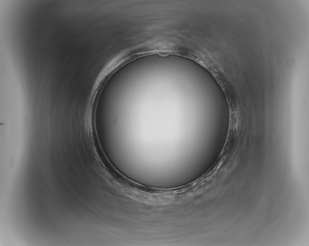 X0000113100004200908281357