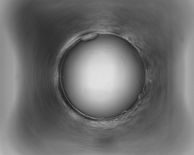 X0000113100005200908281357