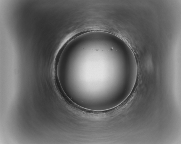 X0000113100008200908281357