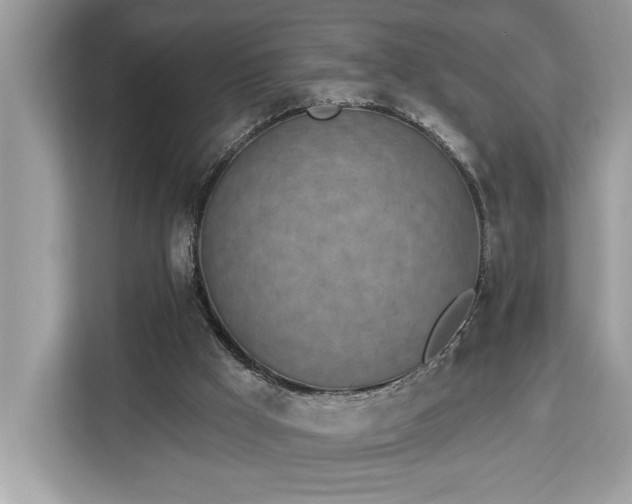 X0000113100009200908281357