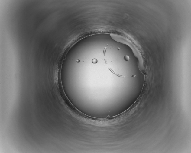 X0000113100010200908281357