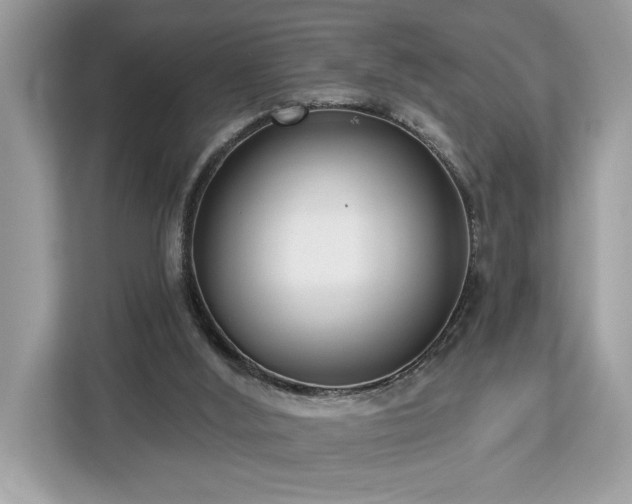 X0000113100012200908281357