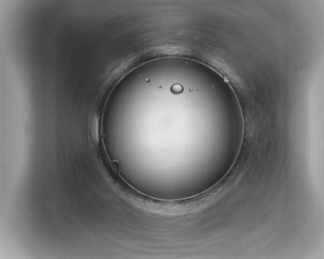 X0000113100014200908281357