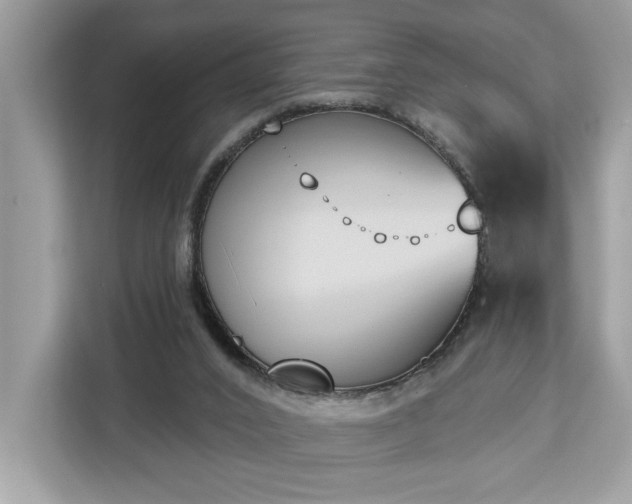 X0000113100016200908281357
