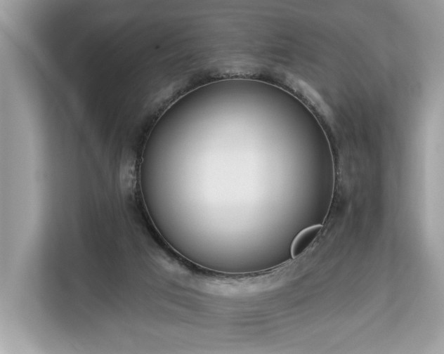 X0000113100017200908281357