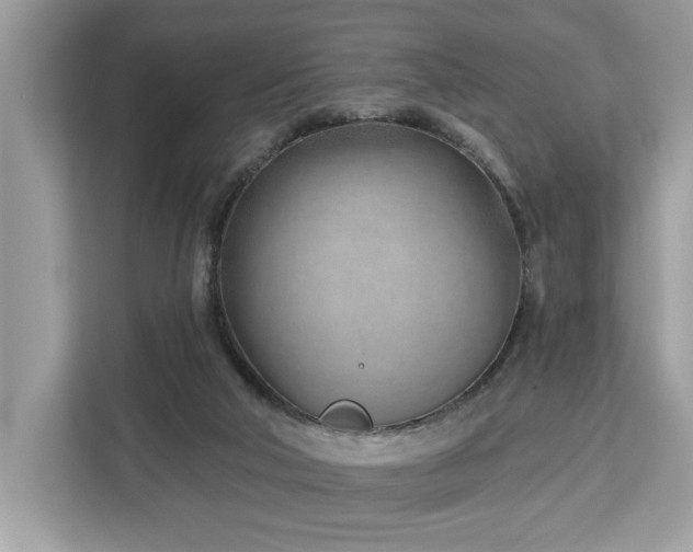 X0000113100018200908281357