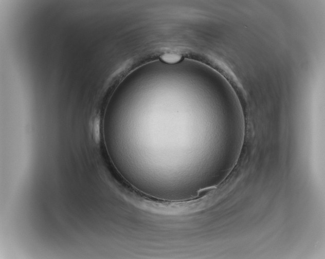 X0000113100019200908281357