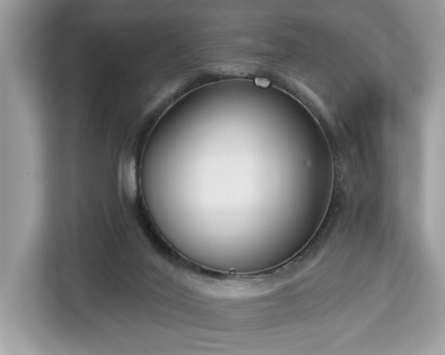 X0000113100020200908281357