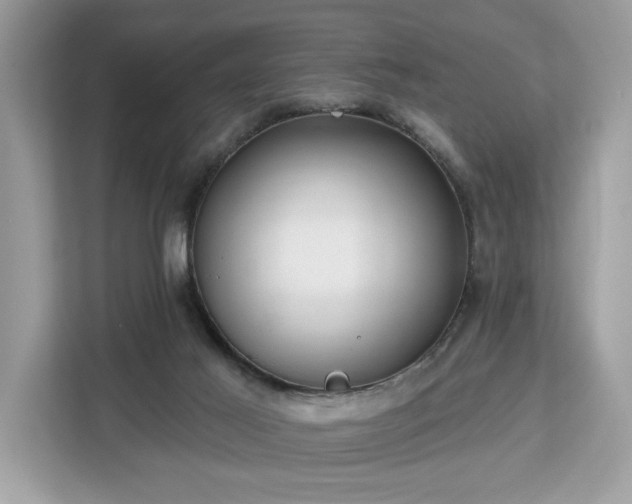 X0000113100021200908281357