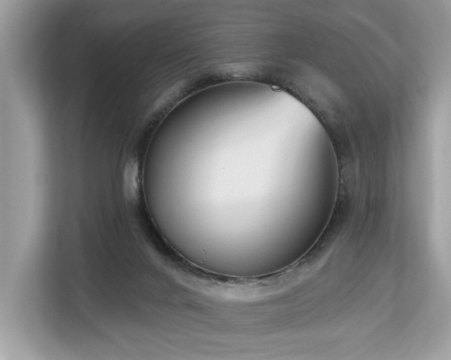 X0000113100024200908281357