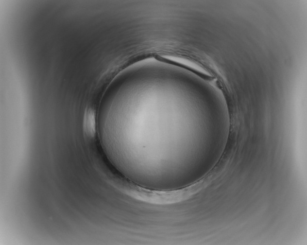 X0000113100027200908281357