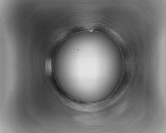 X0000113100028200908281357