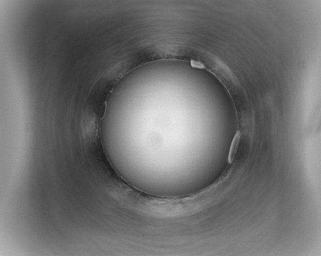 X0000113100029200908281357