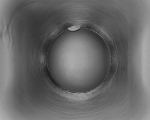 X0000113100031200908281357