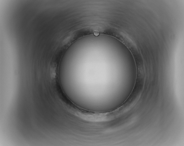 X0000113100032200908281357