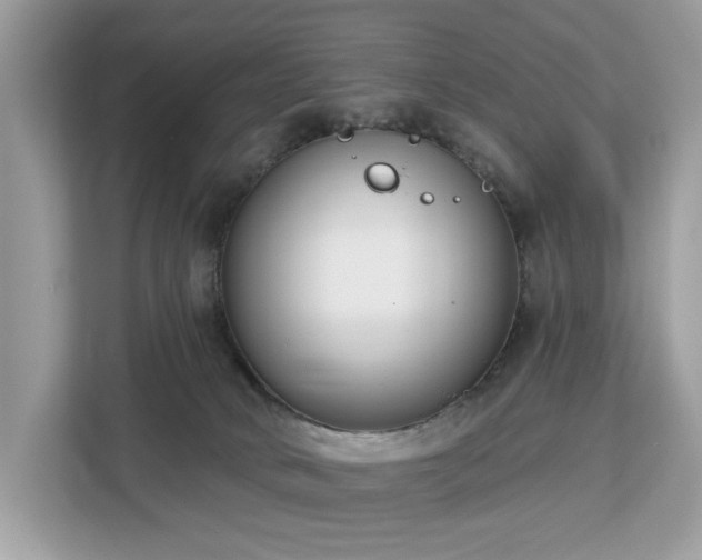 X0000113100034200908281357