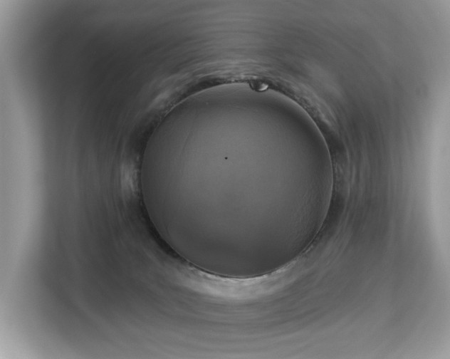 X0000113100035200908281357