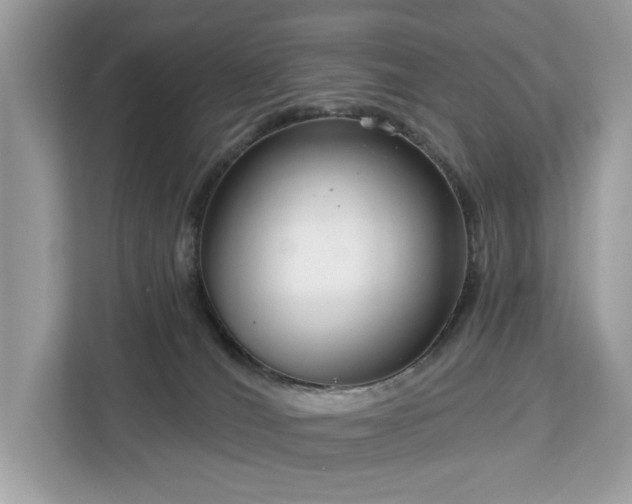 X0000113100036200908281357