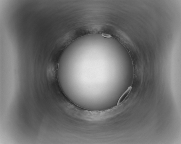 X0000113100037200908281357