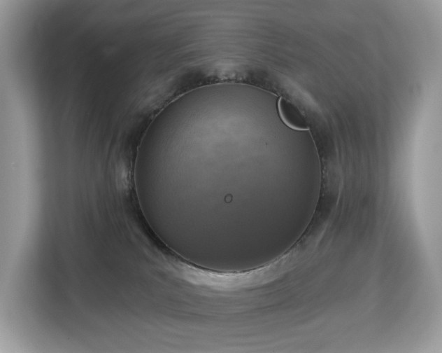 X0000113100039200908281357