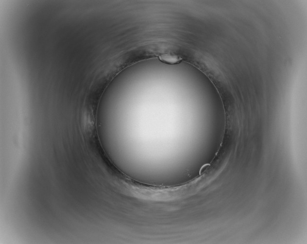 X0000113100040200908281357