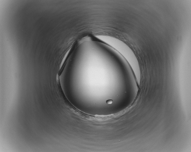 X0000113100041200908281357