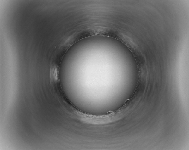 X0000113100042200908281357