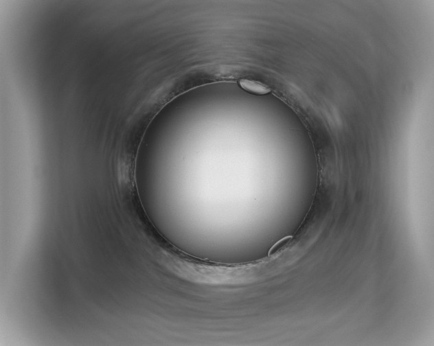 X0000113100044200908281357
