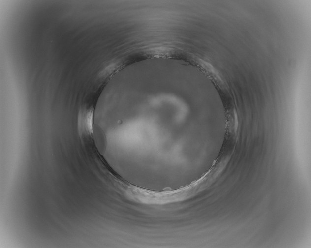 X0000113100047200908281357