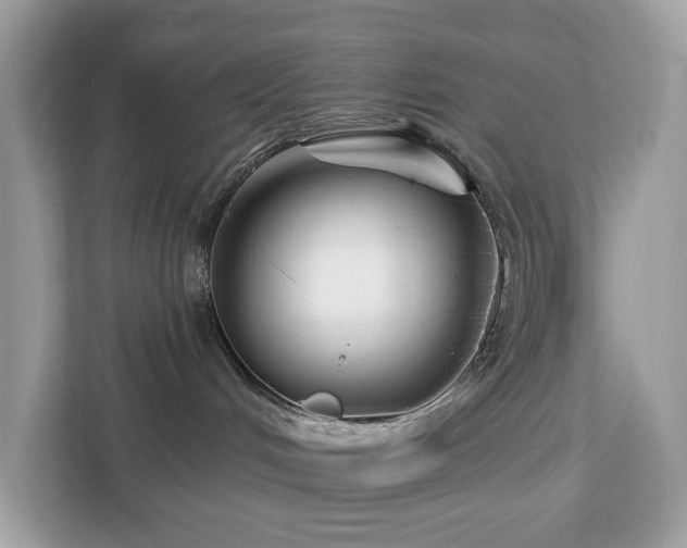 X0000113100048200908281356