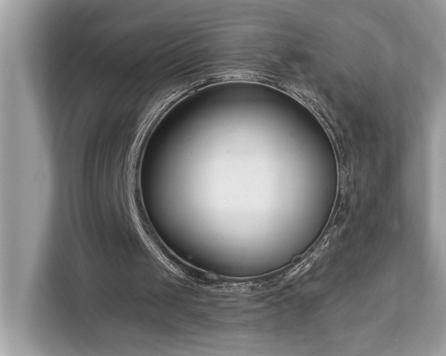 X0000113100049200908281356