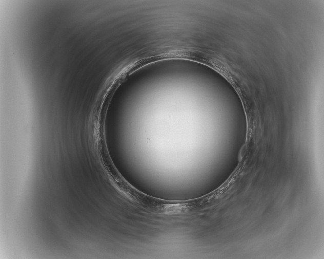 X0000113100050200908281356
