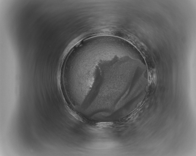 X0000113100051200908281356