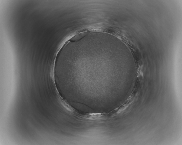 X0000113100052200908281356