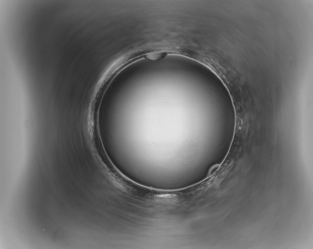 X0000113100053200908281356
