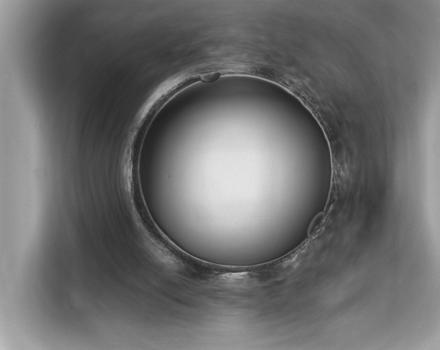 X0000113100054200908281356